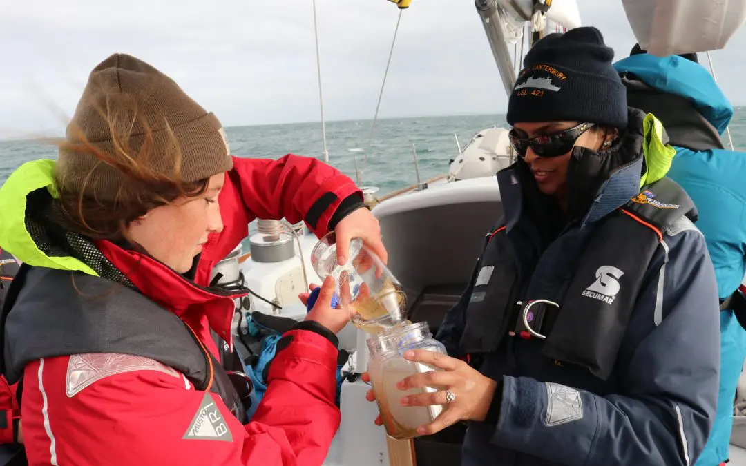 Serena’s cleaning up Westhaven Marina