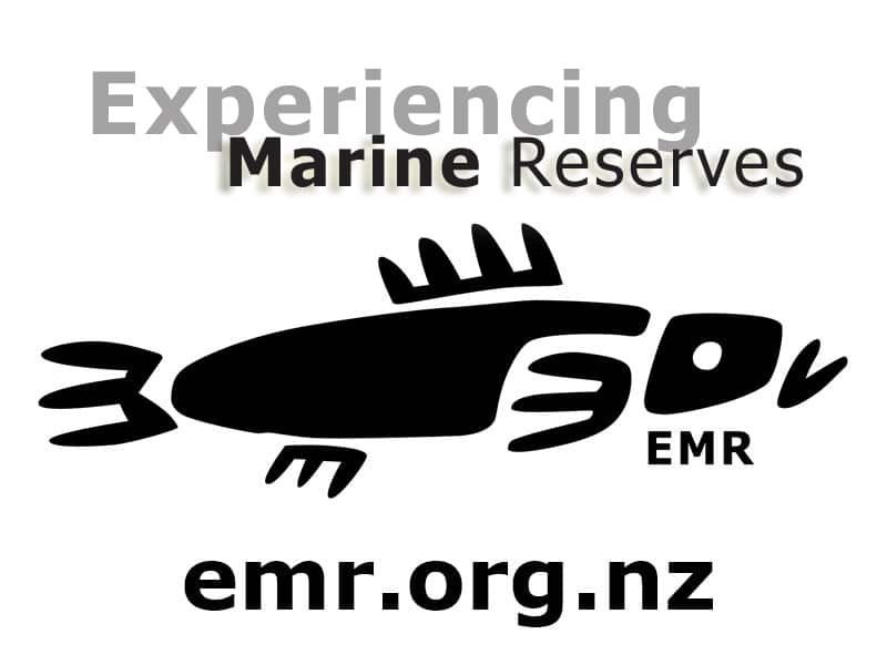 experiencing-marine-reserves-emr-blake-nz